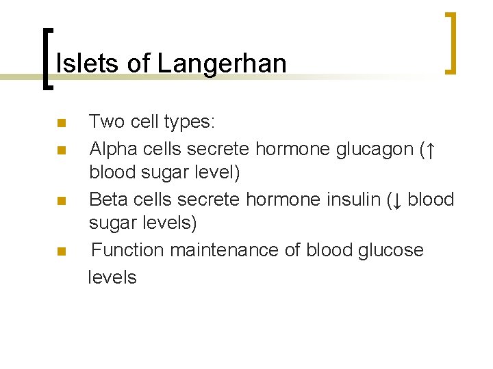 Islets of Langerhan n n Two cell types: Alpha cells secrete hormone glucagon (↑