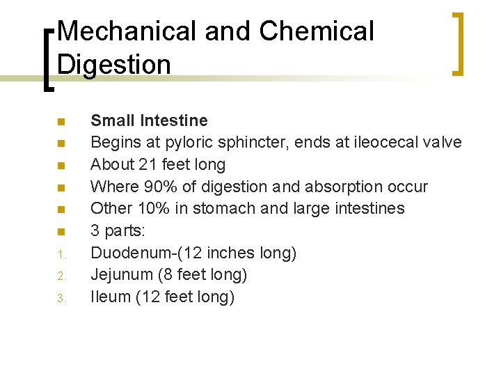 Mechanical and Chemical Digestion n n n 1. 2. 3. Small Intestine Begins at