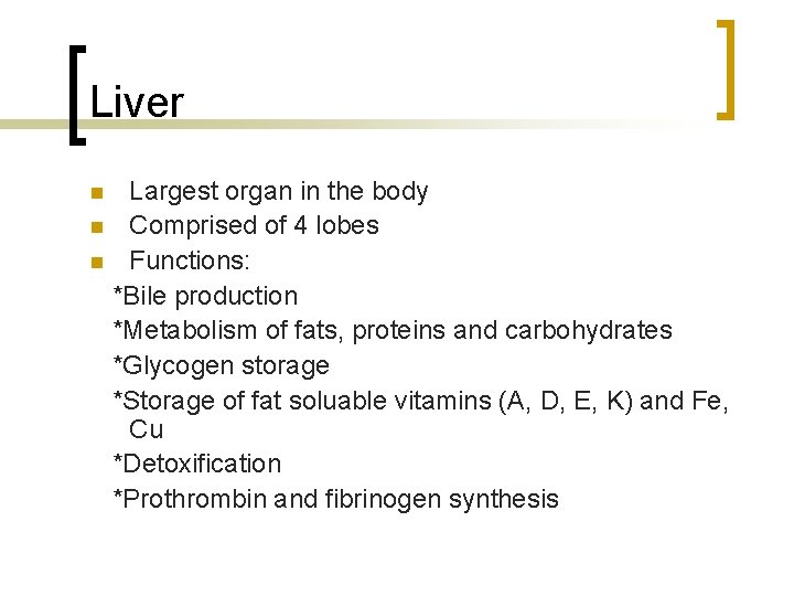 Liver Largest organ in the body n Comprised of 4 lobes n Functions: *Bile