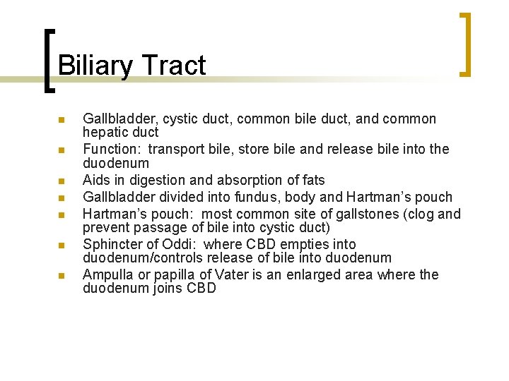Biliary Tract n n n n Gallbladder, cystic duct, common bile duct, and common