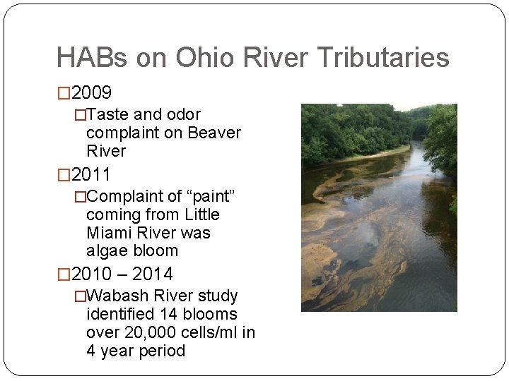 HABs on Ohio River Tributaries � 2009 �Taste and odor complaint on Beaver River