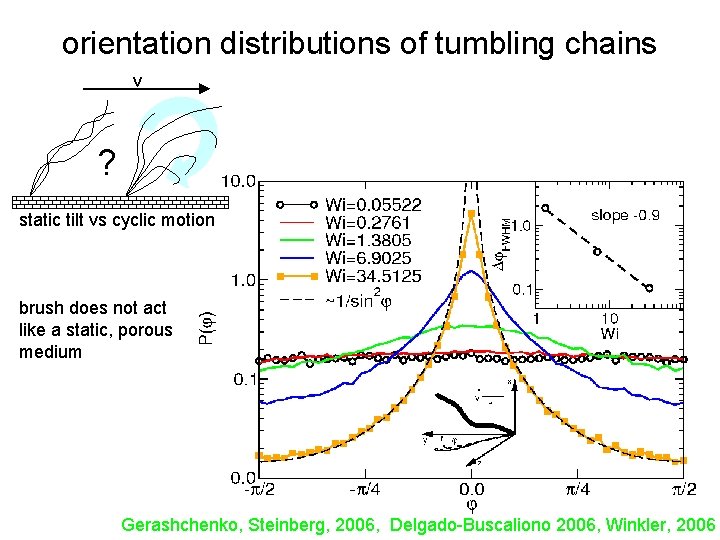 orientation distributions of tumbling chains v ? static tilt vs cyclic motion brush does