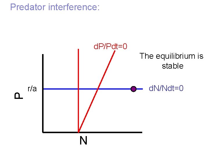 Predator interference: d. P/Pdt=0 P The equilibrium is stable d. N/Ndt=0 r/a N 