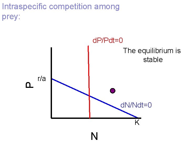 Intraspecific competition among prey: d. P/Pdt=0 P The equilibrium is stable r/a d. N/Ndt=0