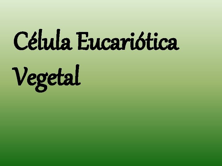 Célula Eucariótica Vegetal Célula Eucariótica Vegetal