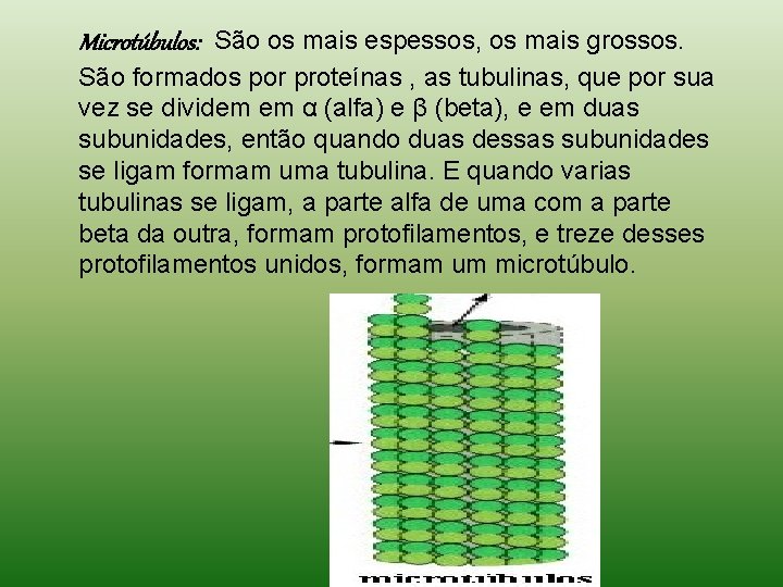 Microtúbulos: São os mais espessos, os mais grossos. São formados por proteínas , as Microtúbulos: São os mais espessos, os mais grossos. São formados por proteínas , as