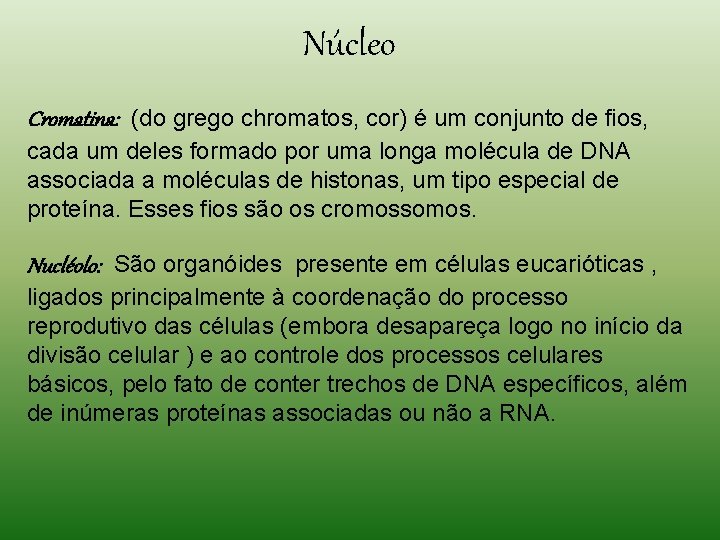 Núcleo Cromatina: (do grego chromatos, cor) é um conjunto de fios, cada um deles Núcleo Cromatina: (do grego chromatos, cor) é um conjunto de fios, cada um deles