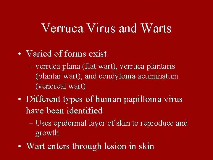 Verruca Virus and Warts • Varied of forms exist – verruca plana (flat wart),