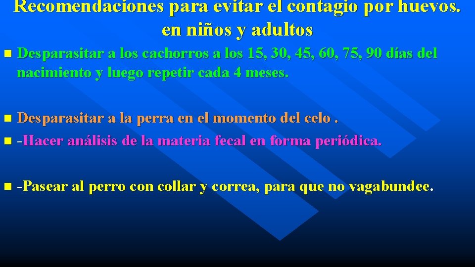 Recomendaciones para evitar el contagio por huevos. en niños y adultos n Desparasitar a