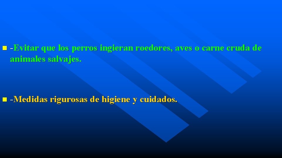 n -Evitar que los perros ingieran roedores, aves o carne cruda de animales salvajes.