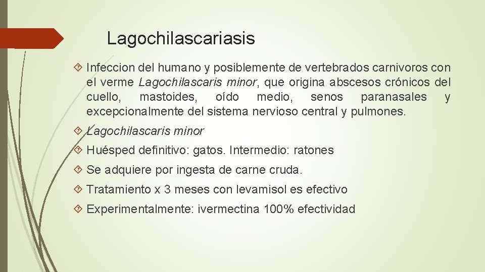 Lagochilascariasis Infeccion del humano y posiblemente de vertebrados carnivoros con el verme Lagochilascaris minor,