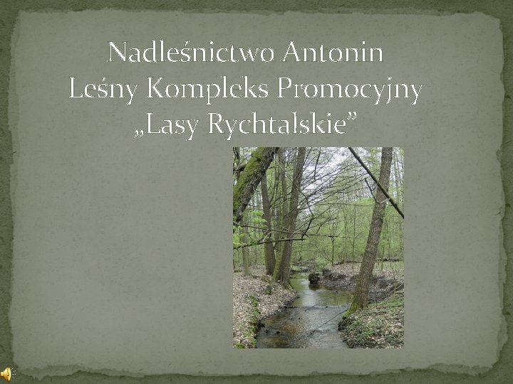 Nadleśnictwo Antonin Leśny Kompleks Promocyjny „Lasy Rychtalskie” 