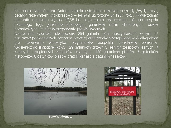 Na terenie Nadleśnictwa Antonin znajduje się jeden rezerwat przyrody „Wydymacz", będący rezerwatem krajobrazowo –