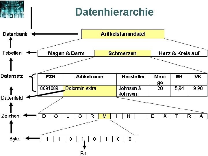 Datenhierarchie 