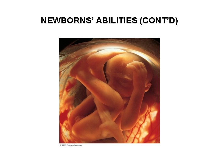 NEWBORNS’ ABILITIES (CONT’D) 