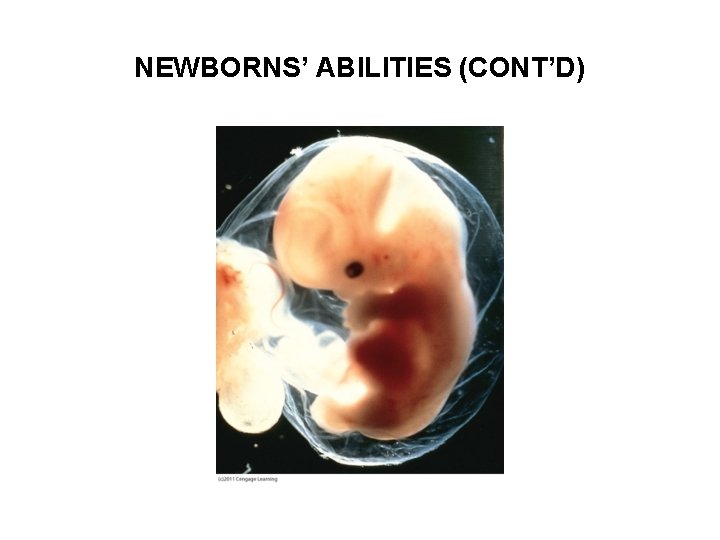 NEWBORNS’ ABILITIES (CONT’D) 