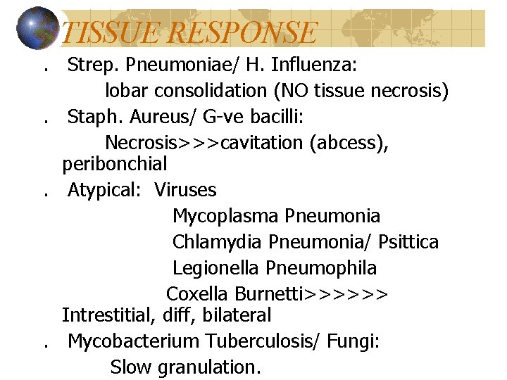 TISSUE RESPONSE. Strep. Pneumoniae/ H. Influenza: lobar consolidation (NO tissue necrosis). Staph. Aureus/ G-ve