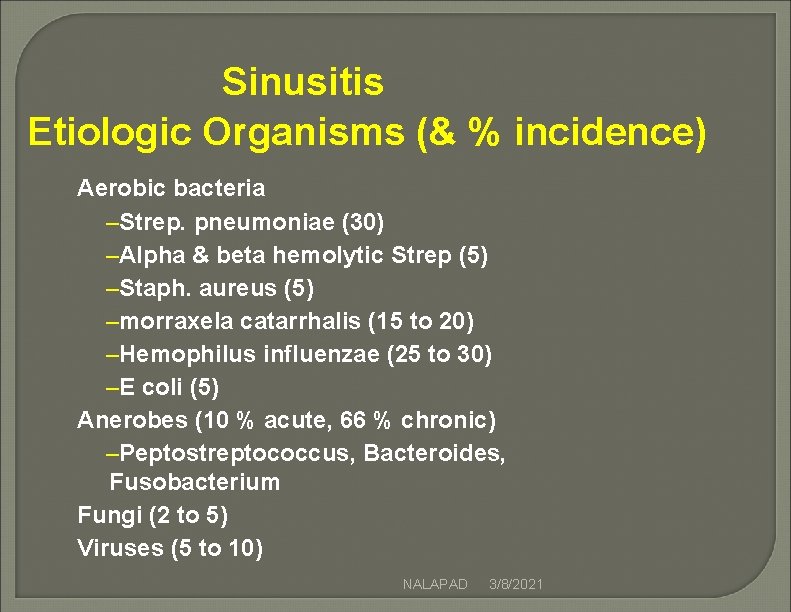 Sinusitis Etiologic Organisms (& % incidence) Aerobic bacteria –Strep. pneumoniae (30) –Alpha & beta Sinusitis Etiologic Organisms (& % incidence) Aerobic bacteria –Strep. pneumoniae (30) –Alpha & beta