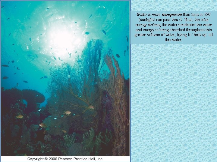 Water is more transparent than land so SW (sunlight) can pass thru it. Thus,