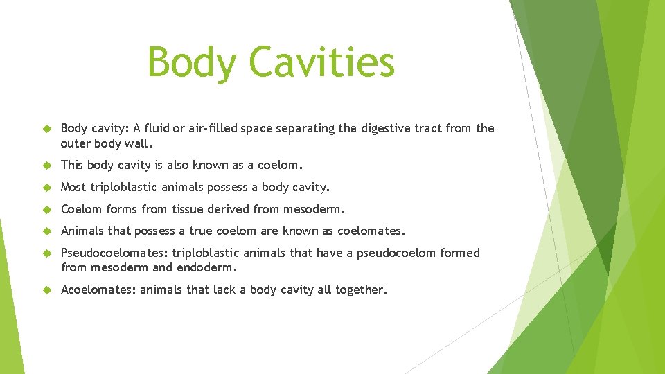 Body Cavities Body cavity: A fluid or air-filled space separating the digestive tract from