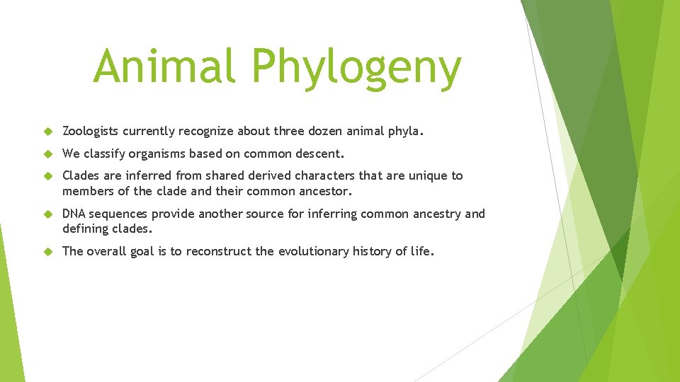 Animal Phylogeny Zoologists currently recognize about three dozen animal phyla. We classify organisms based