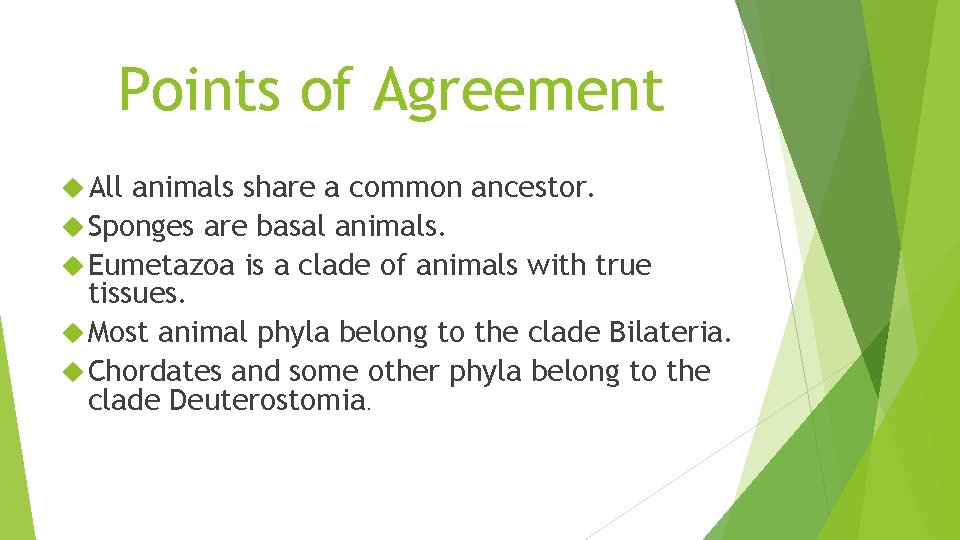 Points of Agreement All animals share a common ancestor. Sponges are basal animals. Eumetazoa