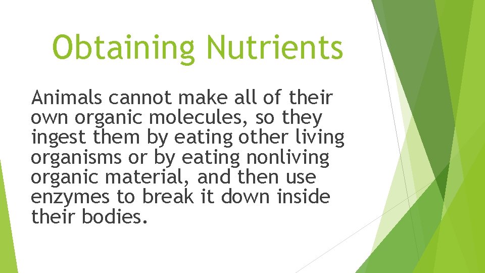 Obtaining Nutrients Animals cannot make all of their own organic molecules, so they ingest