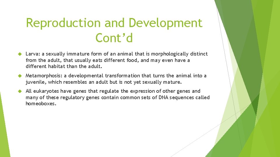 Reproduction and Development Cont’d Larva: a sexually immature form of an animal that is