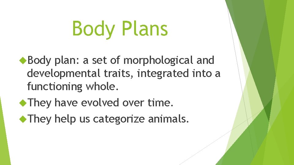 Body Plans Body plan: a set of morphological and developmental traits, integrated into a