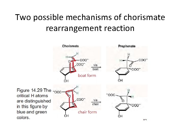 Two possible mechanisms of chorismate rearrangement reaction 