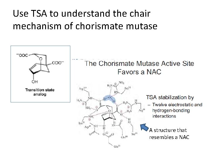 Use TSA to understand the chair mechanism of chorismate mutase A structure that resembles