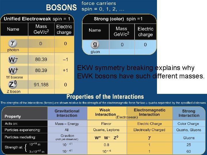 EKW symmetry breaking explains why EWK bosons have such different masses. 