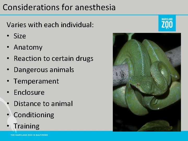 Considerations for anesthesia Varies with each individual: • Size • Anatomy • Reaction to