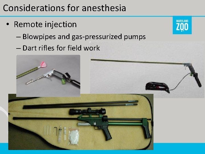 Considerations for anesthesia • Remote injection – Blowpipes and gas-pressurized pumps – Dart rifles