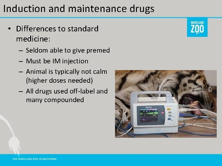 Induction and maintenance drugs • Differences to standard medicine: – Seldom able to give