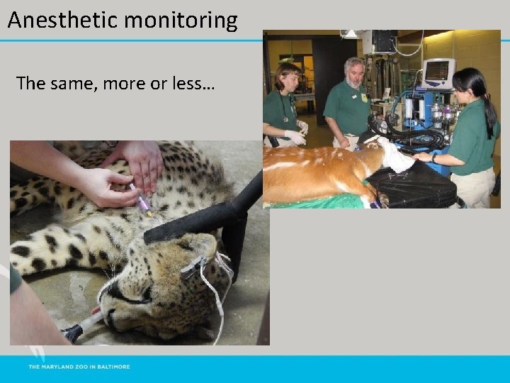 Anesthetic monitoring The same, more or less… 