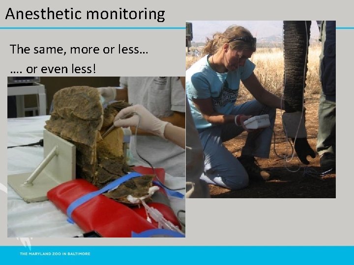 Anesthetic monitoring The same, more or less… …. or even less! 