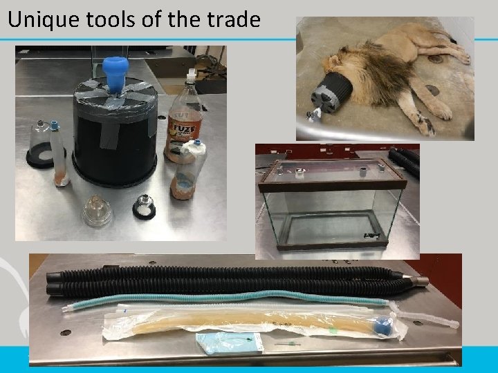 Unique tools of the trade 