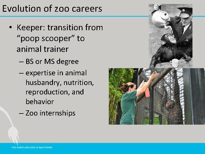 Evolution of zoo careers • Keeper: transition from “poop scooper” to animal trainer –