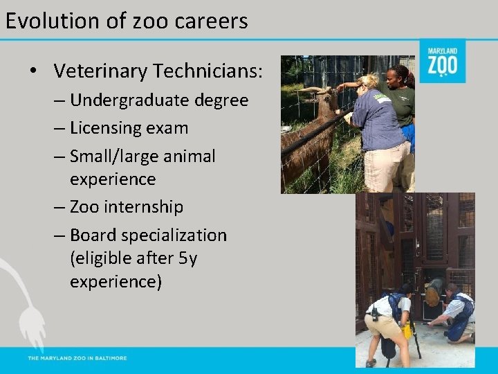 Evolution of zoo careers • Veterinary Technicians: – Undergraduate degree – Licensing exam –