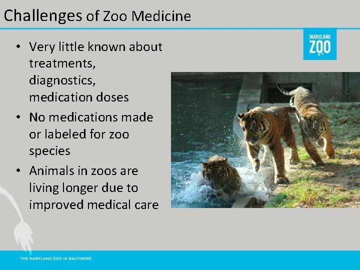 Challenges of Zoo Medicine • Very little known about treatments, diagnostics, medication doses •