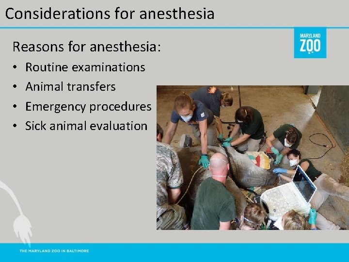 Considerations for anesthesia Reasons for anesthesia: • • Routine examinations Animal transfers Emergency procedures