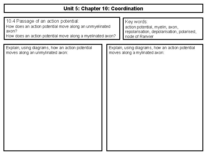 Unit 5: Chapter 10: Coordination 10. 4 Passage of an action potential: How does
