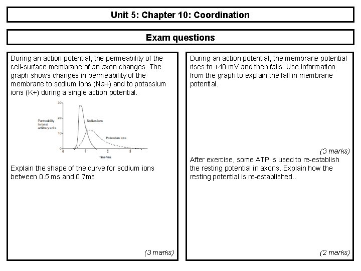 Unit 5: Chapter 10: Coordination Exam questions During an action potential, the permeability of