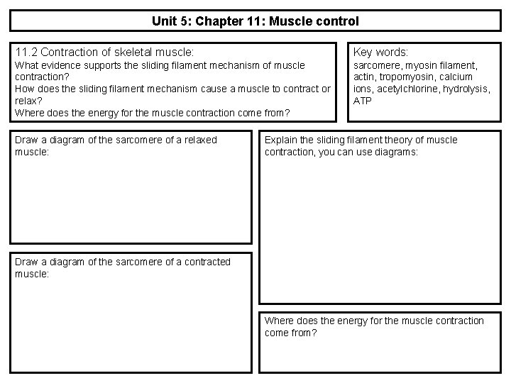 Unit 5: Chapter 11: Muscle control 11. 2 Contraction of skeletal muscle: Key words: