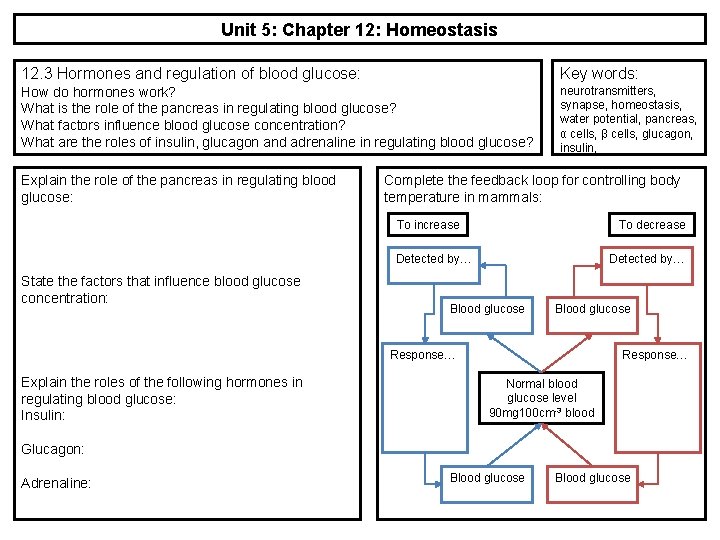 Unit 5: Chapter 12: Homeostasis 12. 3 Hormones and regulation of blood glucose: Key