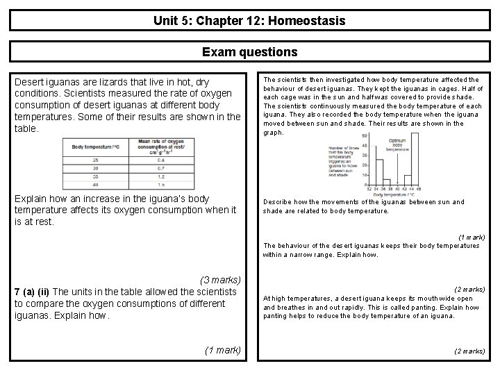 Unit 5: Chapter 12: Homeostasis Exam questions Desert iguanas are lizards that live in
