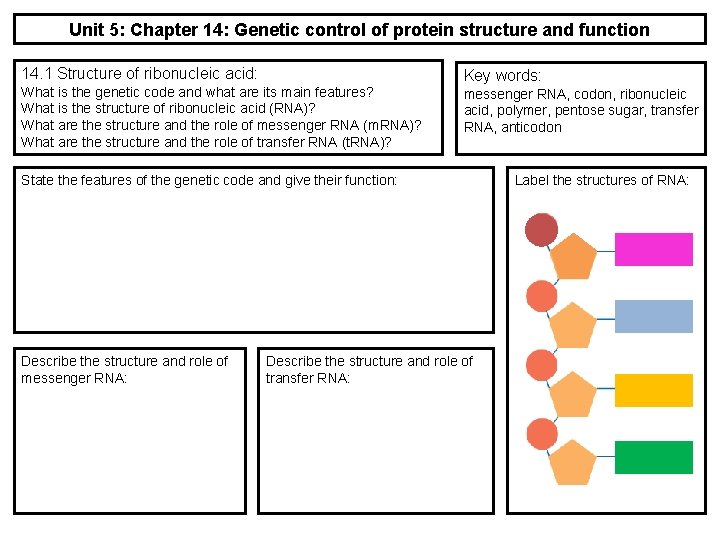 Unit 5: Chapter 14: Genetic control of protein structure and function 14. 1 Structure