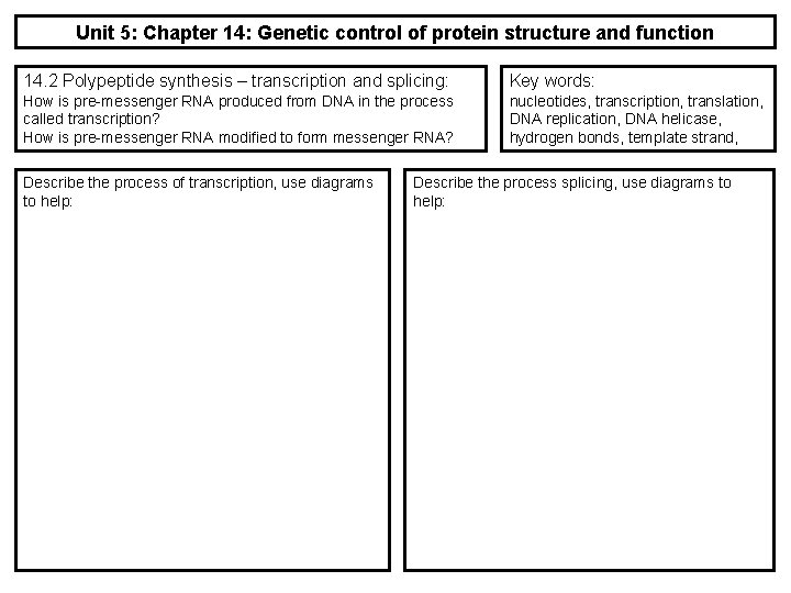 Unit 5: Chapter 14: Genetic control of protein structure and function 14. 2 Polypeptide