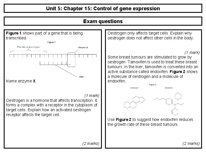 Unit 5: Chapter 15: Control of gene expression Exam questions Figure 1 shows part